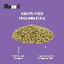 2022_Mazuri_Mini-Pig-Mature-Maintenance_5Z4C_feed-image.webp