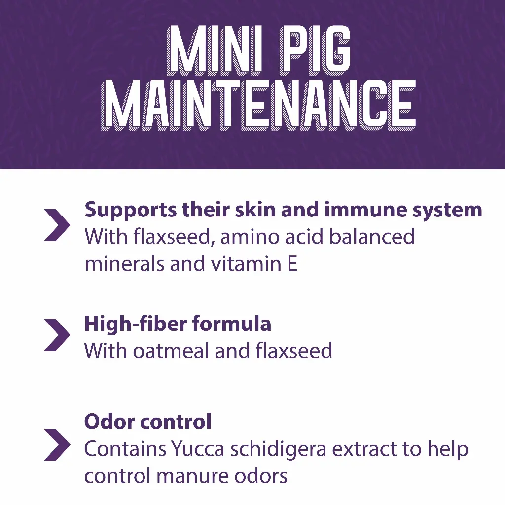 mini_pig_maint_FB.webp