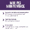 mini_pig_maint_FB.webp
