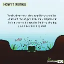 71bazu6g7bL._AC_SL1500_.webp