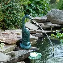 SHNG_02_1080x.webp