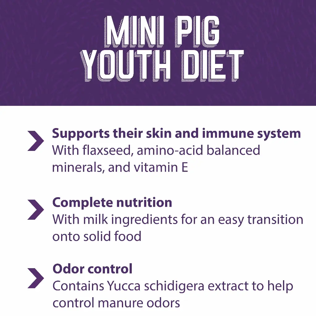 Maz_mini_pig_youth_FB.webp