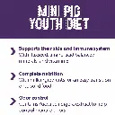 Maz_mini_pig_youth_FB.webp