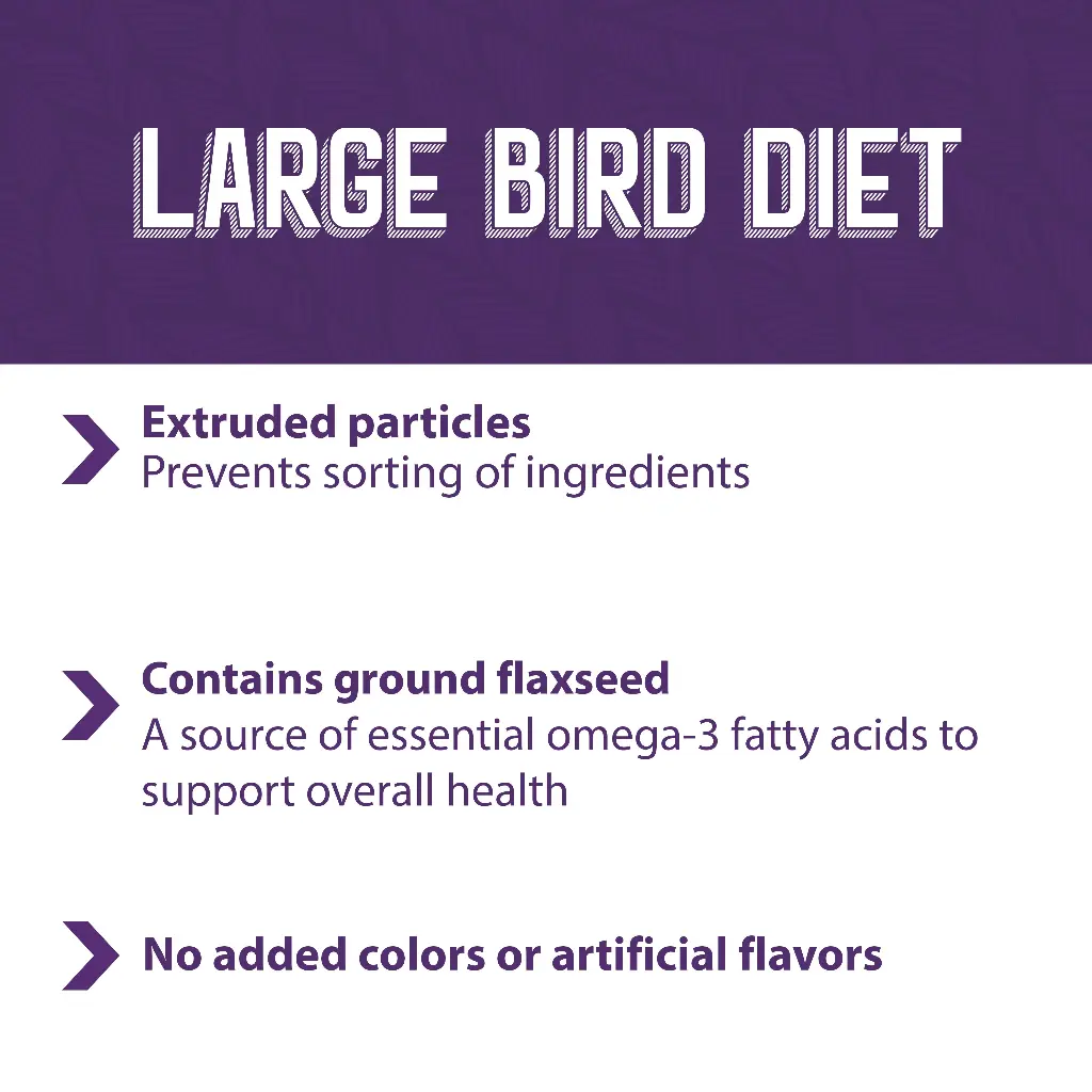 large_bird_diet_FB.webp