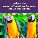 Mazuri_large_bird_designed_for.webp