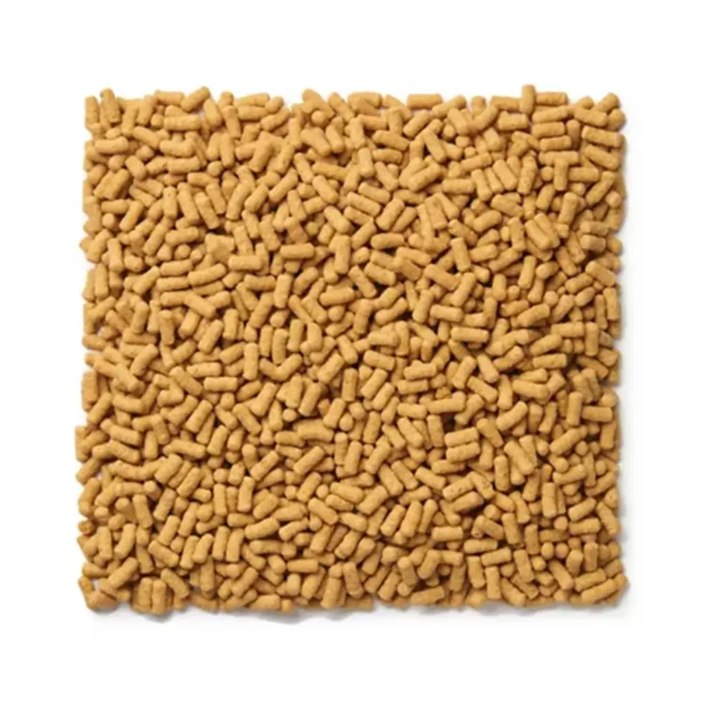 softbill_feed_image.webp