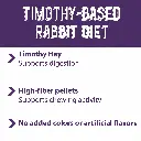 Rabbit_FB.webp