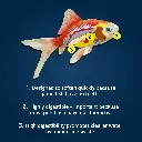 f84cdbb2-966e-402b-b096-22e9029d4632.9c89f9dd1f1f6ffef7f1ba4c8af101c5.webp