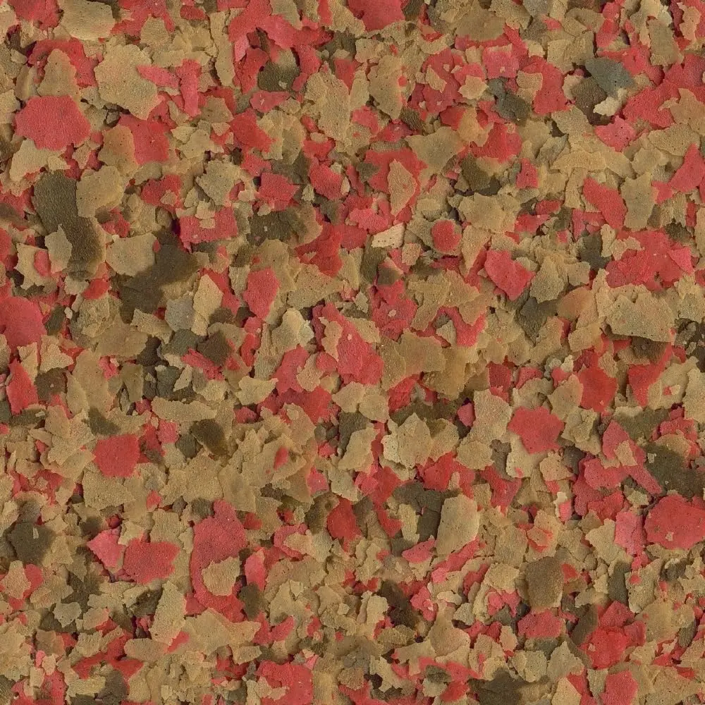 71Pq5XkDtrL._AC_SL1000_.webp