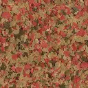 71Pq5XkDtrL._AC_SL1000_.webp