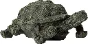 81nNh3jfAeL._AC_SL1500_.webp