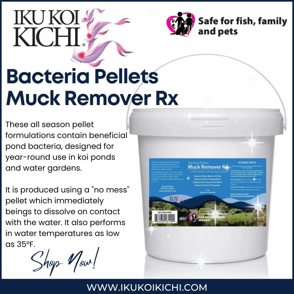 Bacteria Pellets Muck Remover Rx.webp
