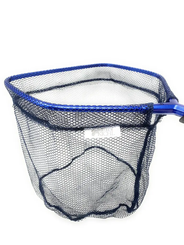 500_3.webp