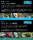 8182QrP-X1L._AC_SL1417_.webp