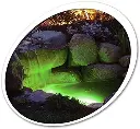 51QfSbUKwsL._AC_.webp