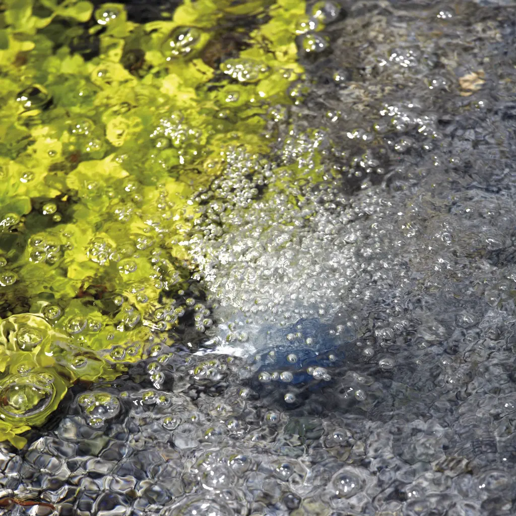 AQUAOXY_450_BEAUTY_2_2000x2000.webp