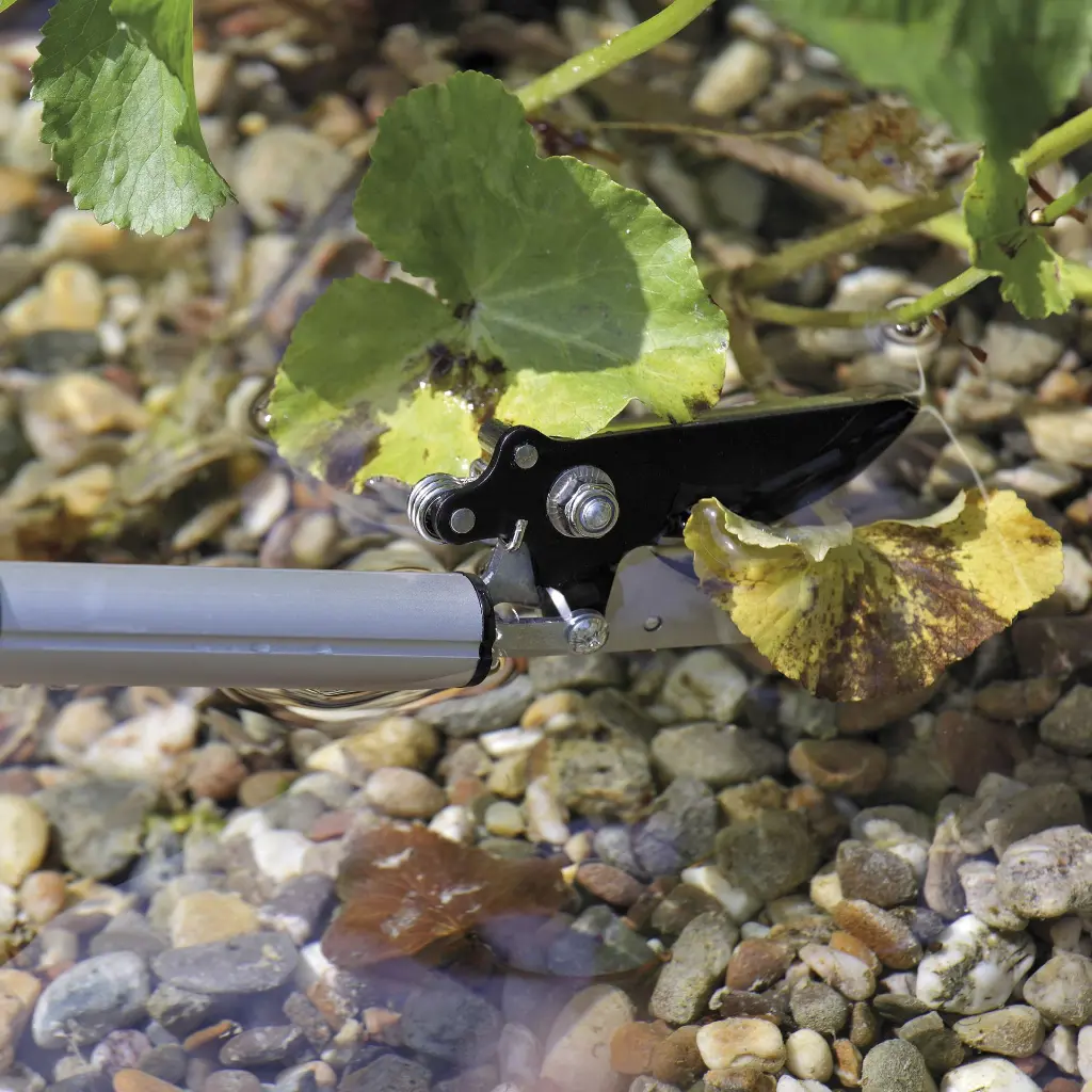 FLEXICUT_BEAUTY_3_2000x2000 (1).webp