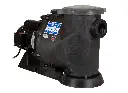 Seq_Primer_Alpha_Leeson_Motor_Angle_Left.jpg.webp