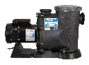Seq_Primer_Alpha_Leeson_Motor_Side_Left.jpg.webp