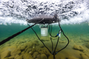 KASCO_SurfaceAerator4400_Underwater_NorthShore-33-1320x881.webp