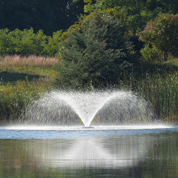 Kasco-VFX-2HP-Pond-1.webp