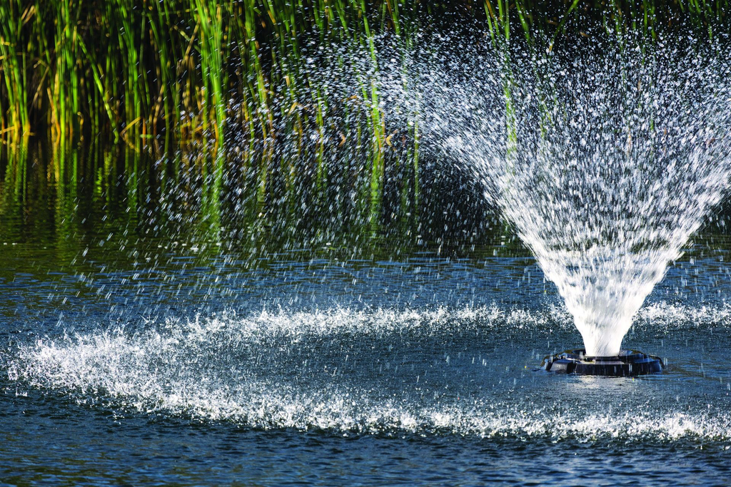 MG_0761-VFX-Edit-scaled.webp