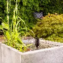 6154b763136a5.webp