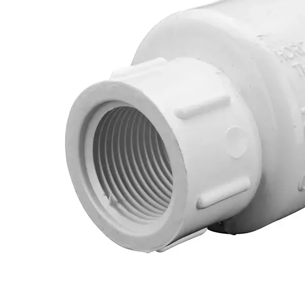 EasyPro34x34fptPlasticCheckValve_5_600x600_crop_center.webp