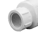 EasyPro34x34fptPlasticCheckValve_5_600x600_crop_center.webp