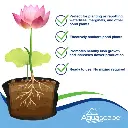 5-89002-89003-Pond-Plant-Potting-Media-Cross-Sell-820x820.webp