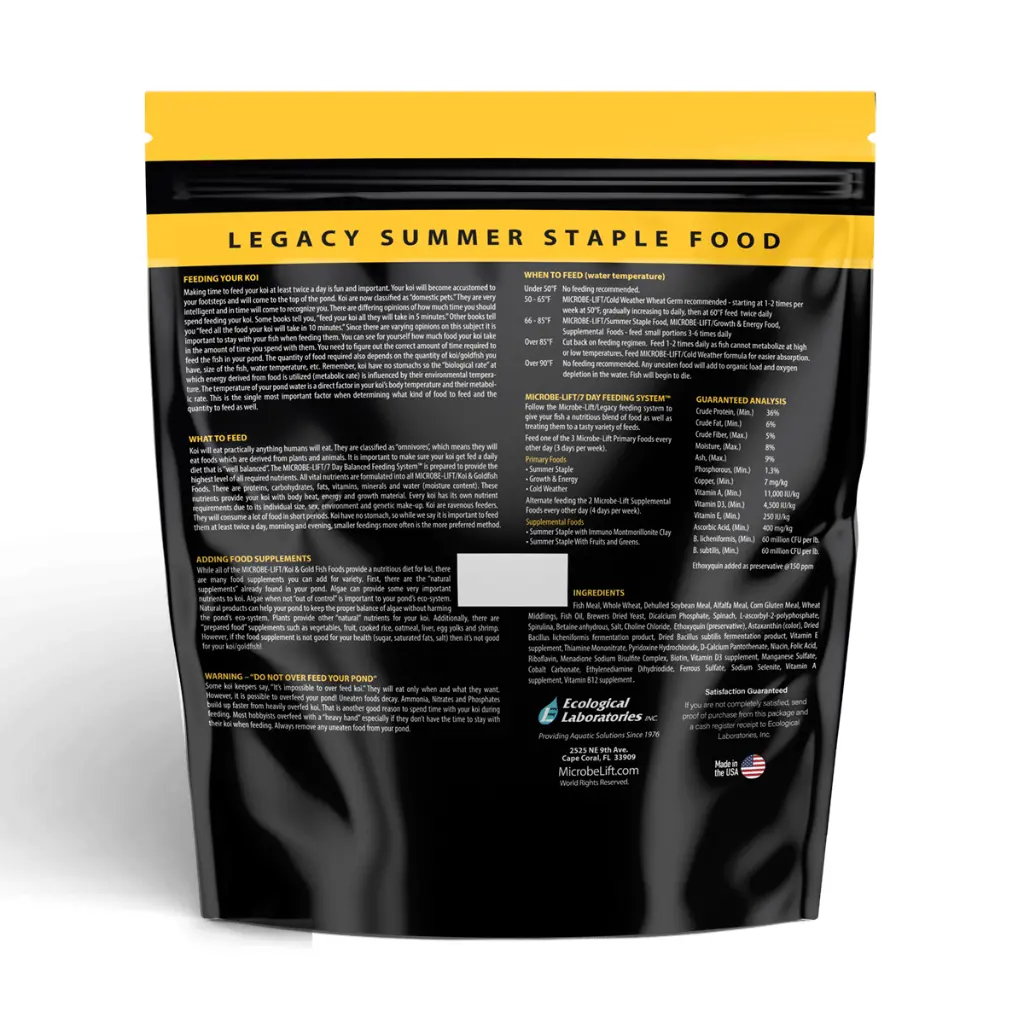 Summer-Staple-Medium-Back-081122-min.webp