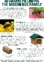 91f0W62rIBL._AC_SL1500_.webp