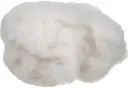 31zCjtoBRAL._AC_.webp