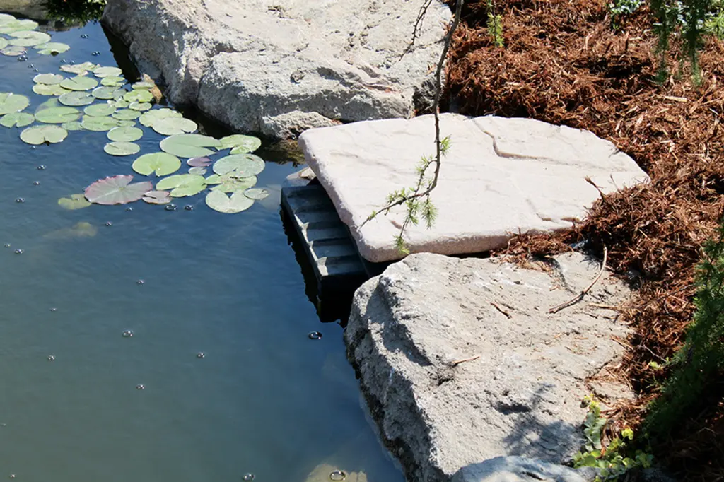 installed-skimmer_2__16494.webp