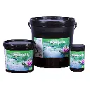 pond-fix-group-2024-web__90488.webp