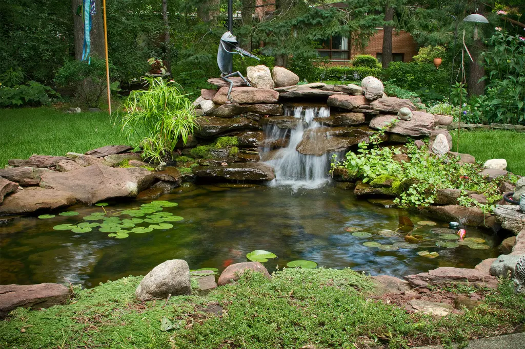 Crystal_Pond_Kit__08762.webp