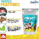 Fish Food-3Artboard 3.webp