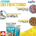 Fish Food-3Artboard 6.webp