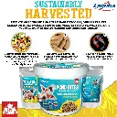 Fish Food-3Artboard 7.webp