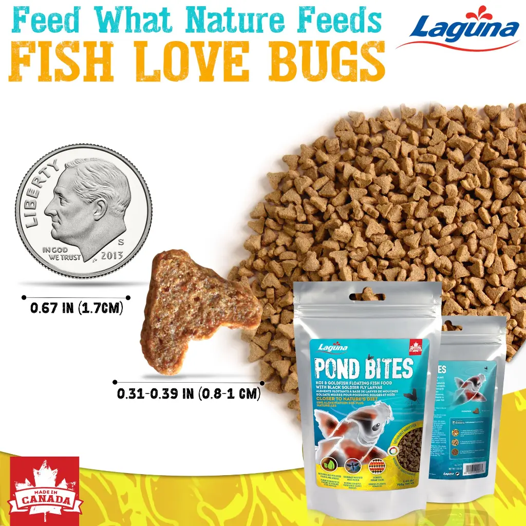 Fish Food-3Artboard 2.webp