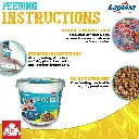 Artboard 6.webp