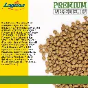 PT04.webp
