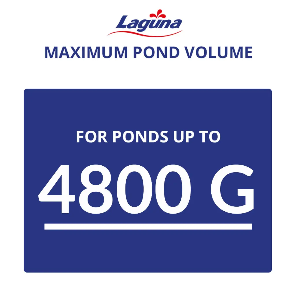 Artboard 10 (2).webp