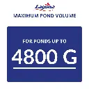 Artboard 10 (2).webp