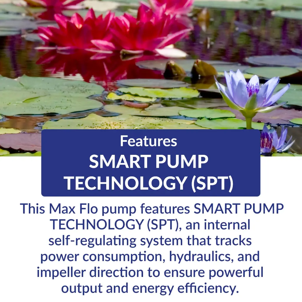 Artboard 12 (2).webp