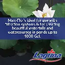 Artboard 11 (2).webp