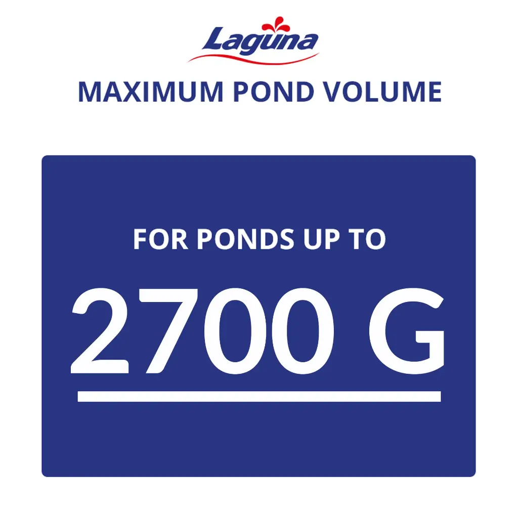 Artboard 10 (4).webp