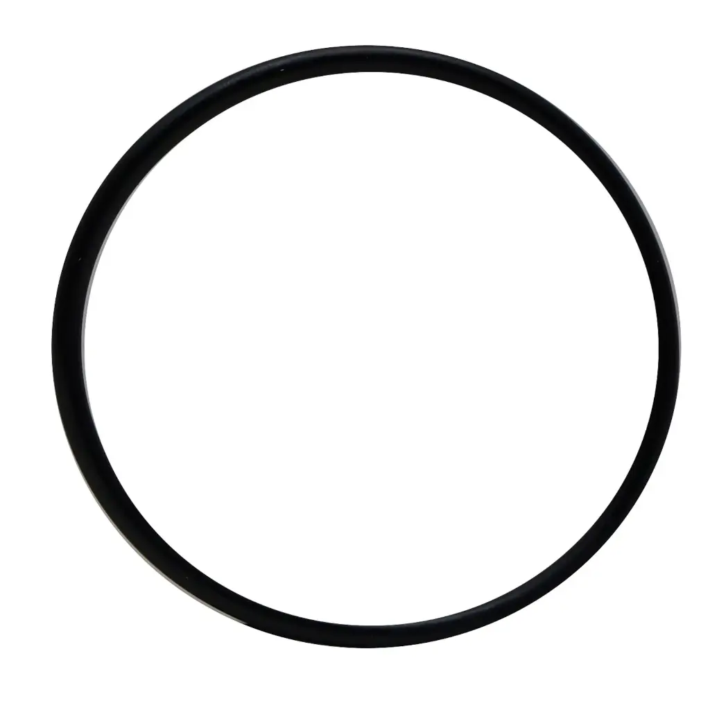 Laguna Pressure Flo UV-C Head O-Rings