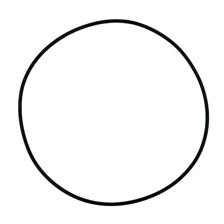 Pondmaster Replacement Gasket (Model 2700,5500,8000)