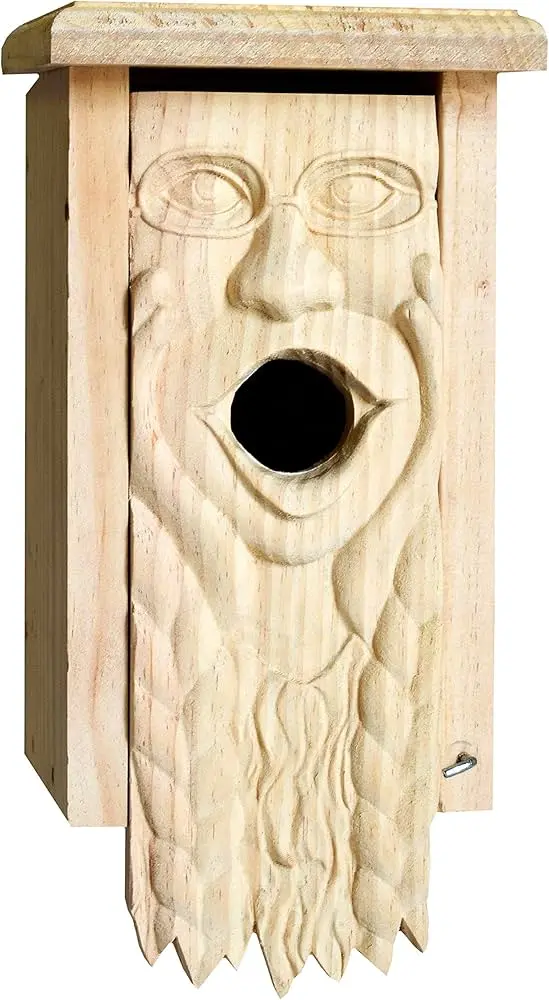 Welliver Outdoors Carved Bluebird House - Mother Earth